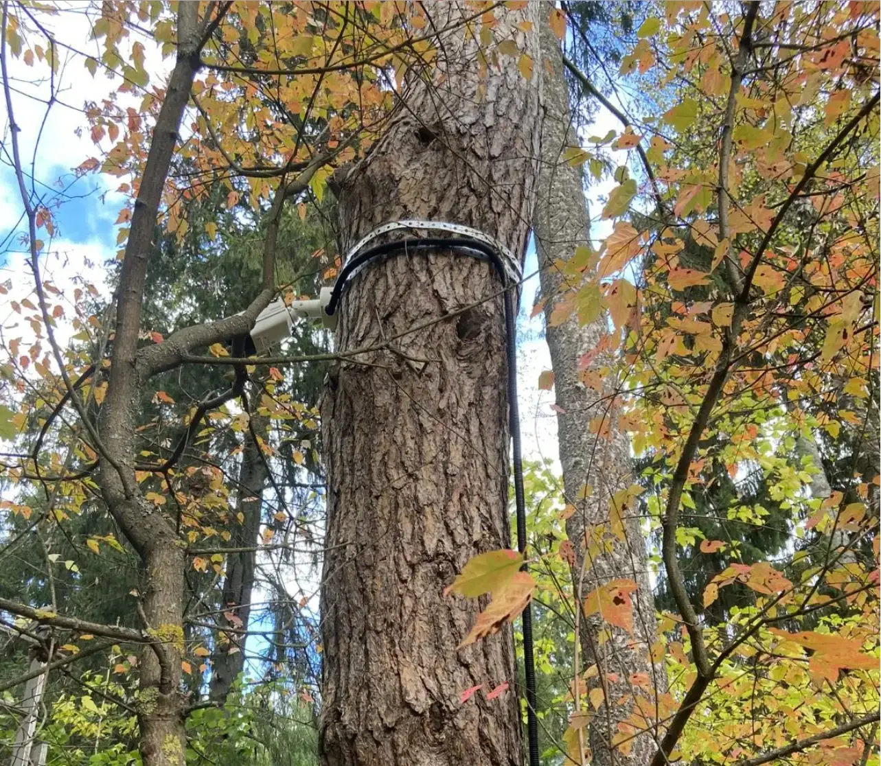 Video nadzor radovi 1