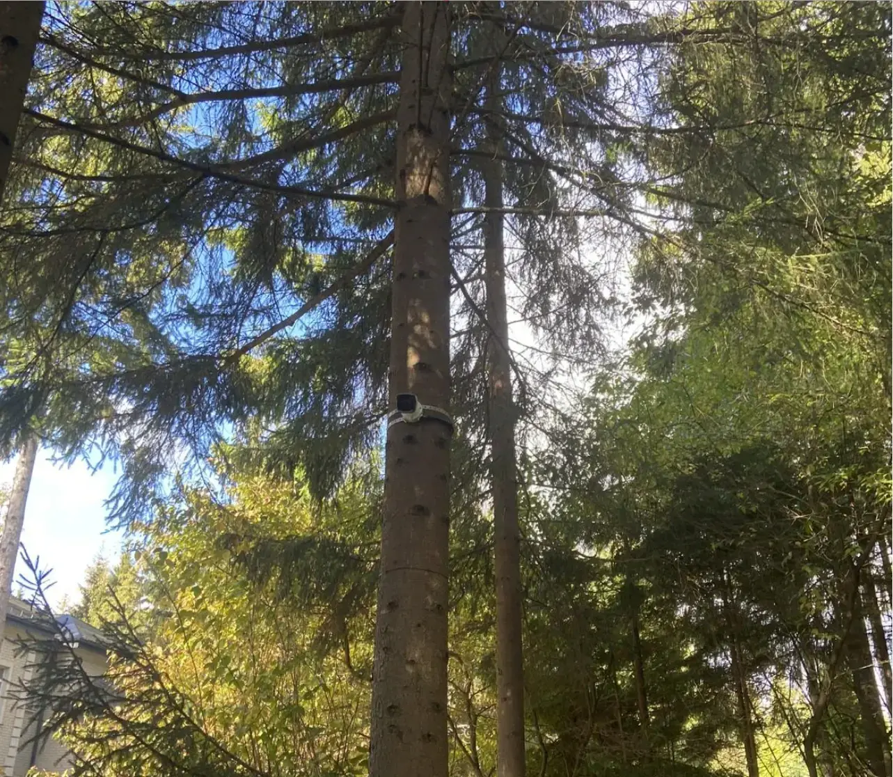 Video nadzor radovi 2